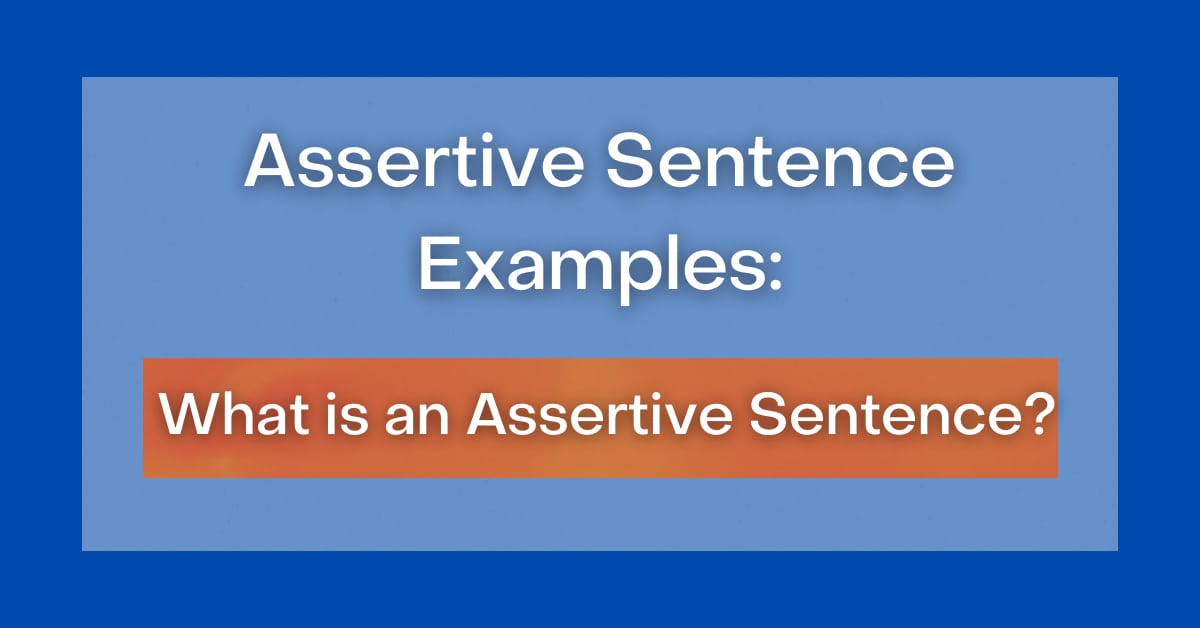 assertion sentence in an essay