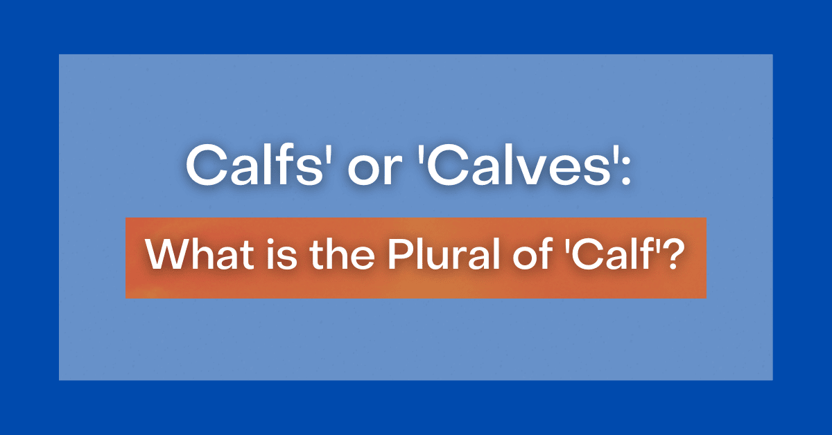 calfs-or-calves-what-is-the-plural-of-calf