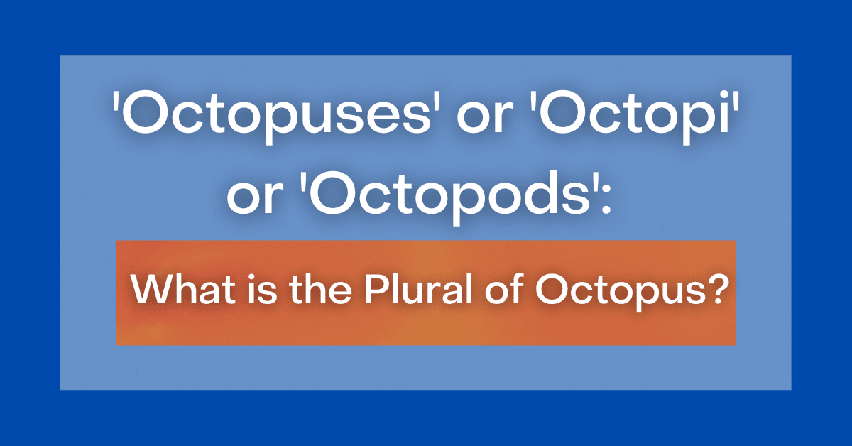  Octopuses Or Octopi Or Octopods What Is The Plural Of Octopus 