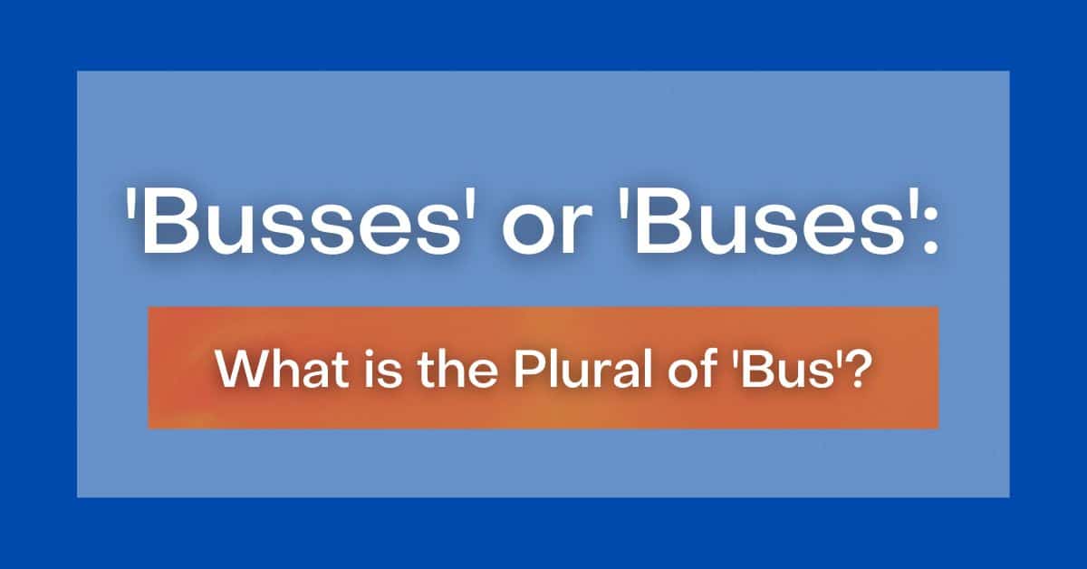 busses-or-buses-what-is-the-plural-of-bus