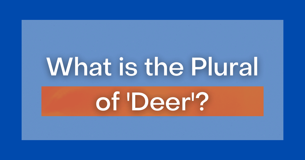  Deer Or Deers What Is The Plural Of Deer 