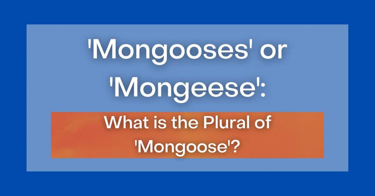 'Mongooses' or 'Mongeese' What is the Plural of 'Mongoose'?