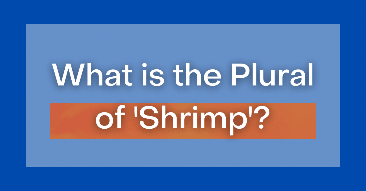 what is the plural of shrimp