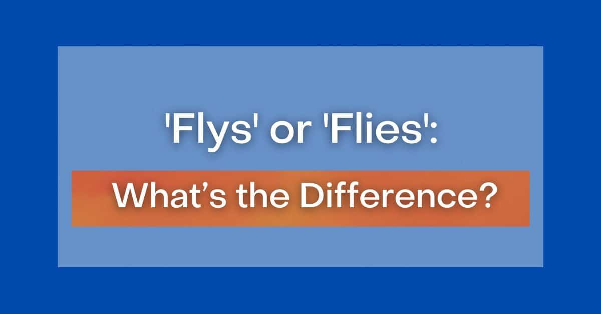 flys-or-flies-what-s-the-difference