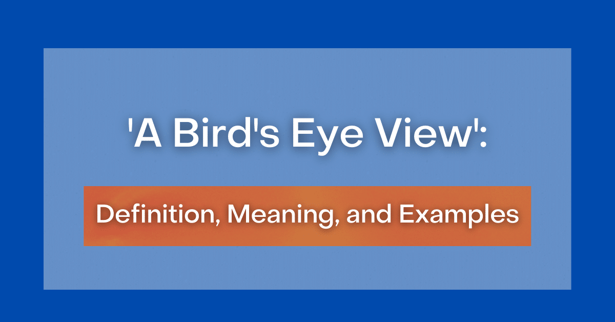Idiom: Bird's-eye view (meaning & examples)