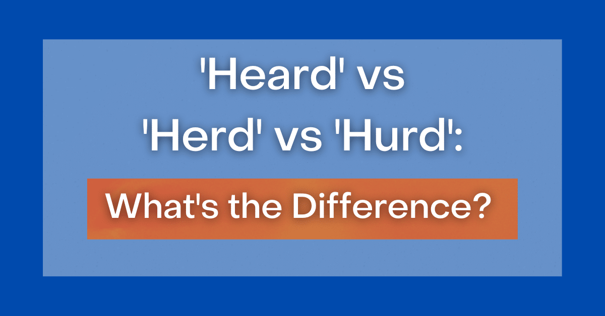 heard-vs-herd-vs-hurd-what-s-the-difference