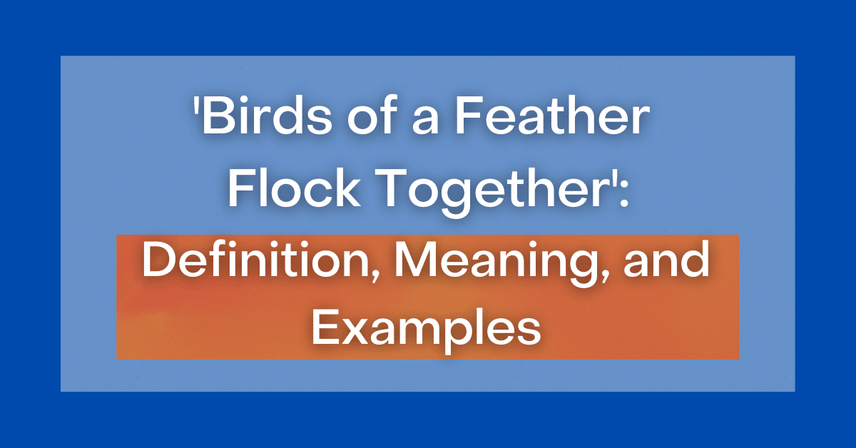 ‘Birds of a Feather Flock Together’ Definition, Meaning and Examples