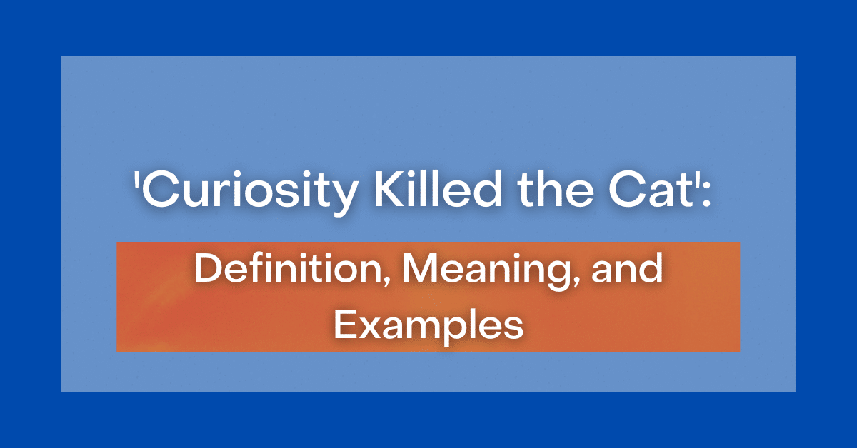 essay on curiosity killed the cat