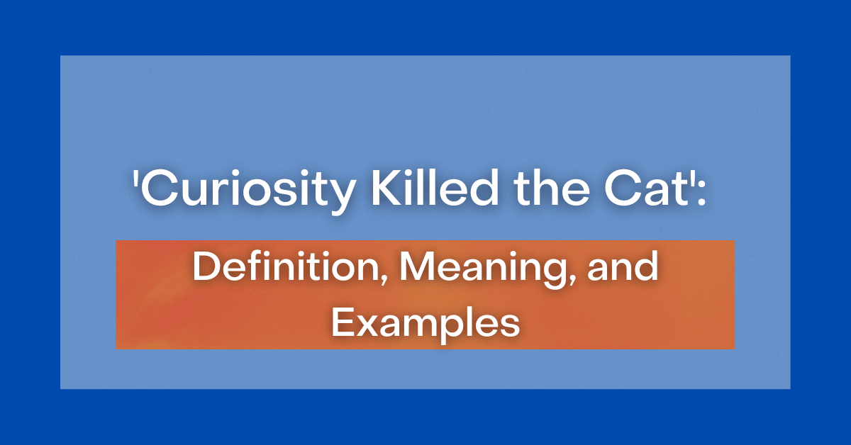 Example Sentence Of Curiosity Killed The Cat