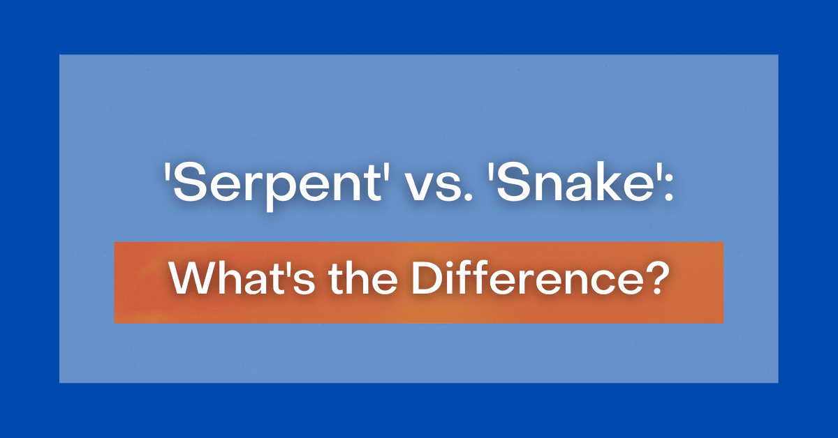 ‘Serpent’ Vs. ‘Snake’: What’s The Difference?