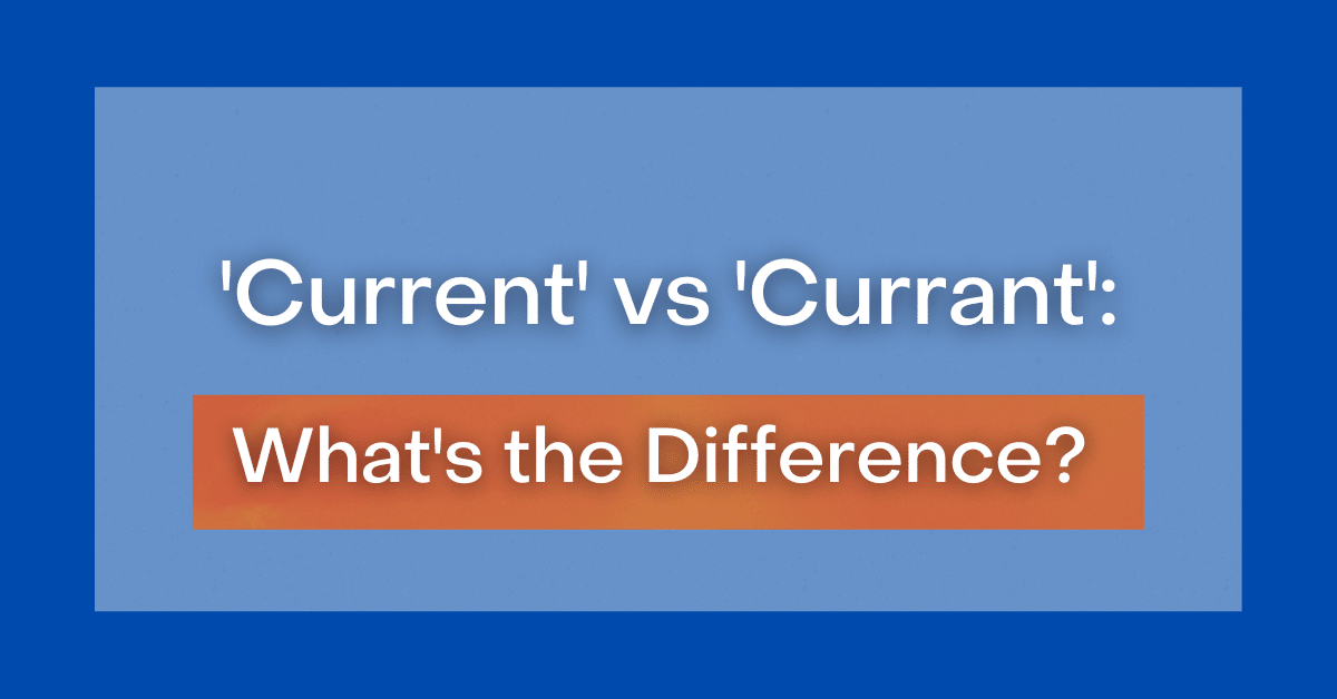 current-vs-currant-what-s-the-difference