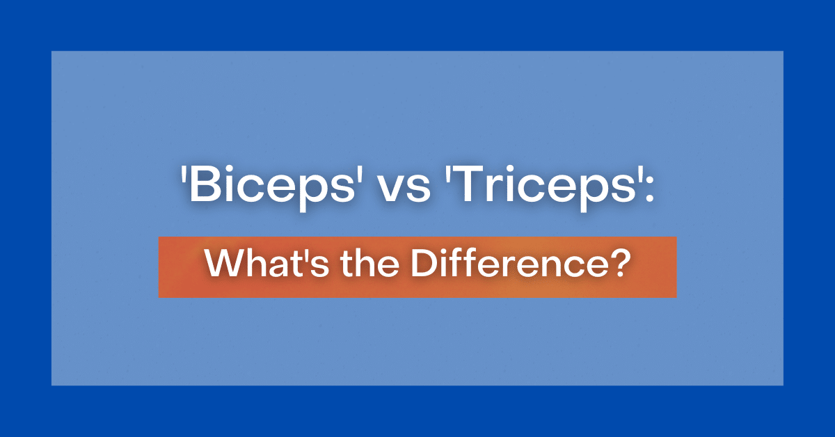 Biceps vs. Triceps: What's the Difference?